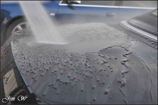 DSC_0381.jpg DSC_0381.jpg