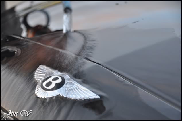 DSC_0391.jpg DSC_0391.jpg