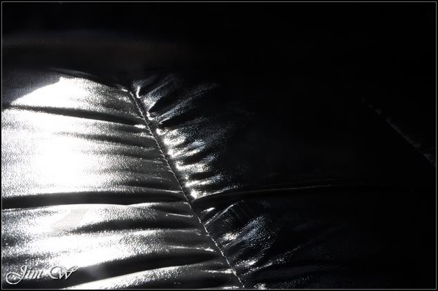 DSC_0409.jpg DSC_0409.jpg