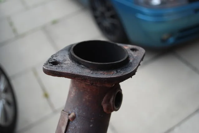 DSC_0409.webp