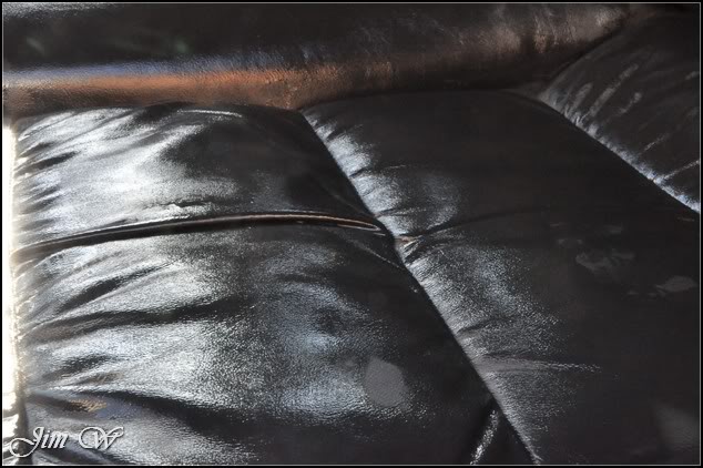 DSC_0410.jpg DSC_0410.jpg