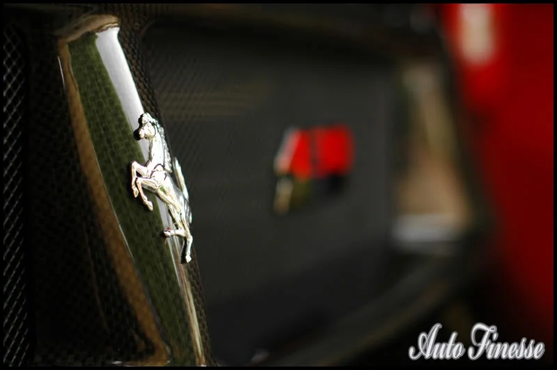 DSC_0412.webp