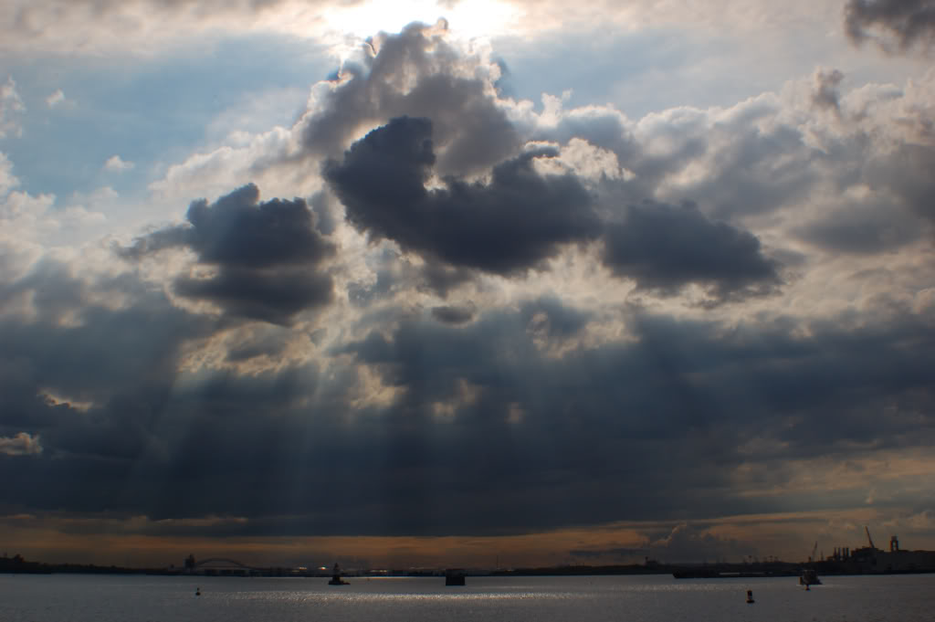 DSC_04120380.jpg DSC_04120380.jpg