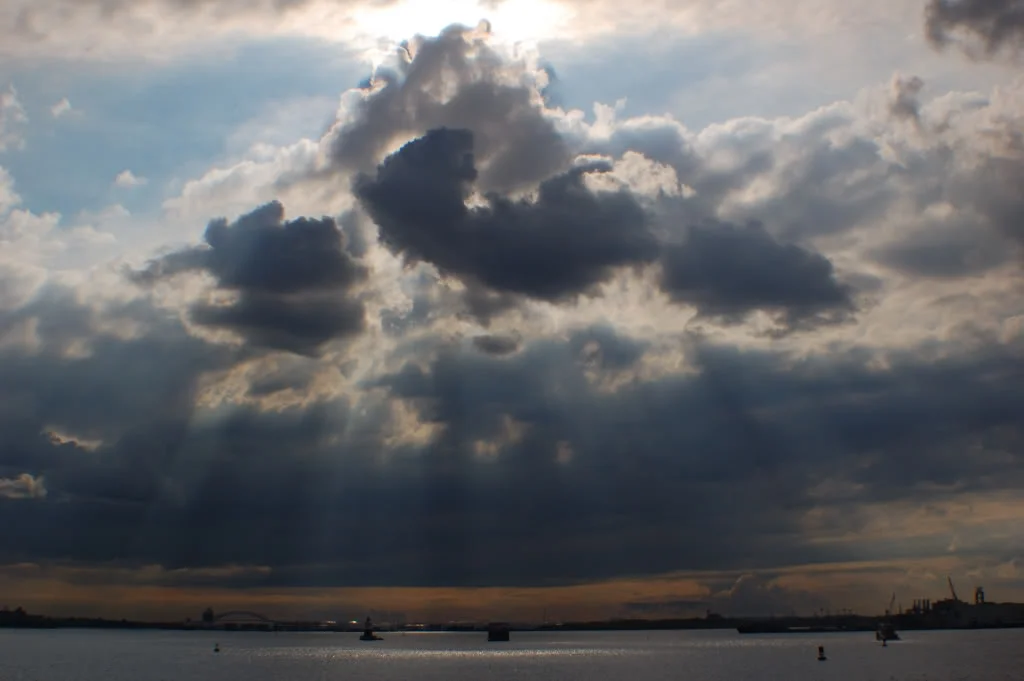 DSC_04120380.webp
