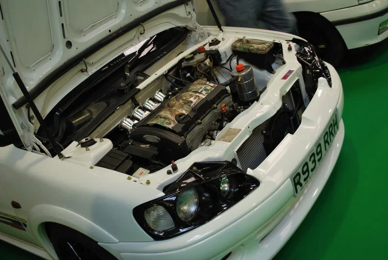 DSC_0416.webp