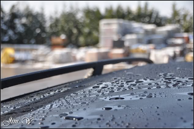 DSC_0422.jpg DSC_0422.jpg