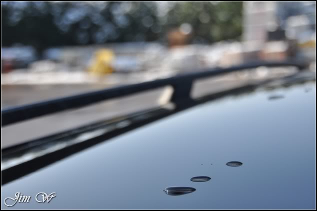 DSC_0425.jpg DSC_0425.jpg