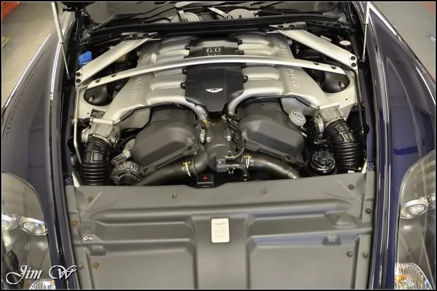 DSC_0429.webp