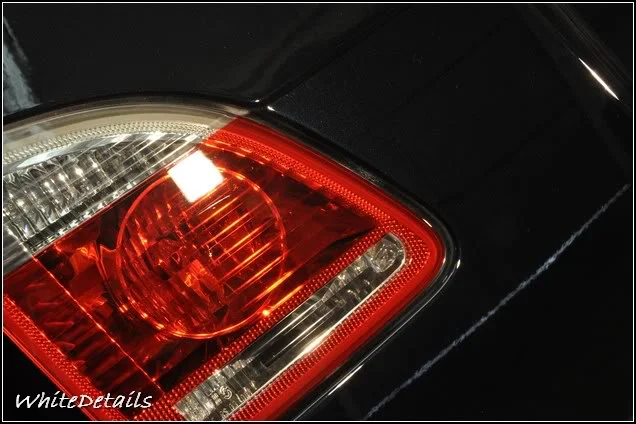 DSC_0435.webp