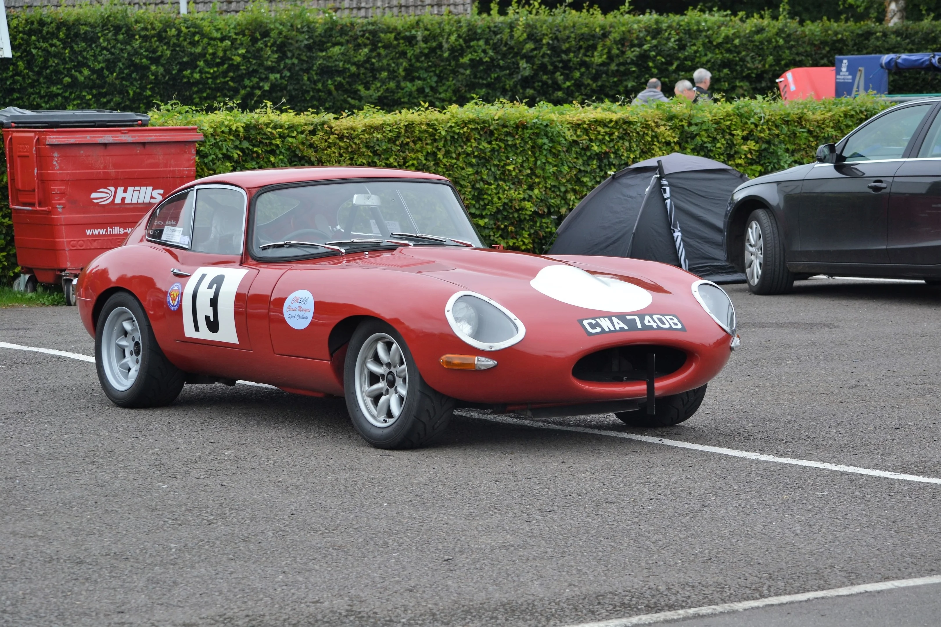 DSC_0438 (2).webp