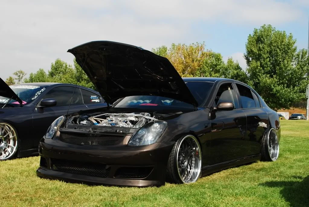 DSC_0447.webp