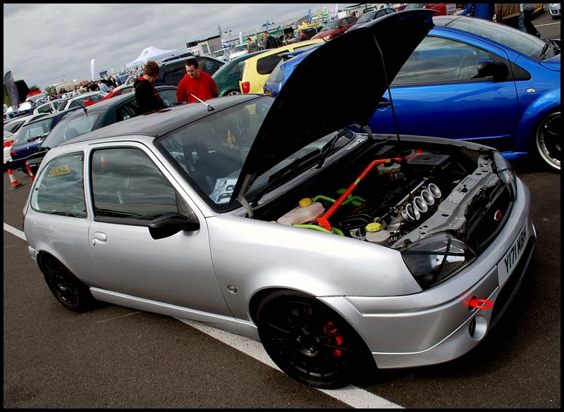 DSC_0454.webp