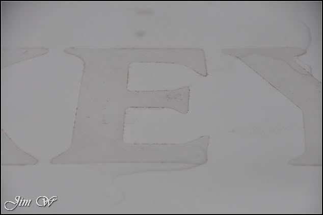 DSC_0484.jpg DSC_0484.jpg