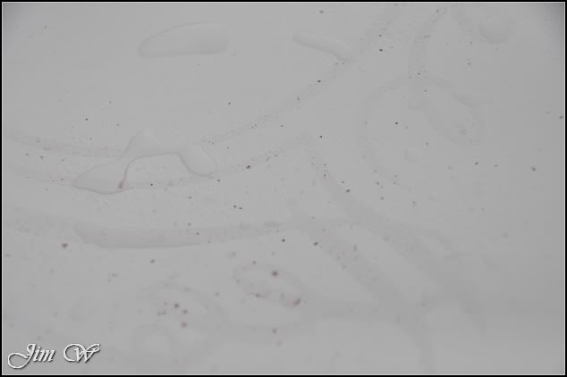 DSC_0485.jpg DSC_0485.jpg