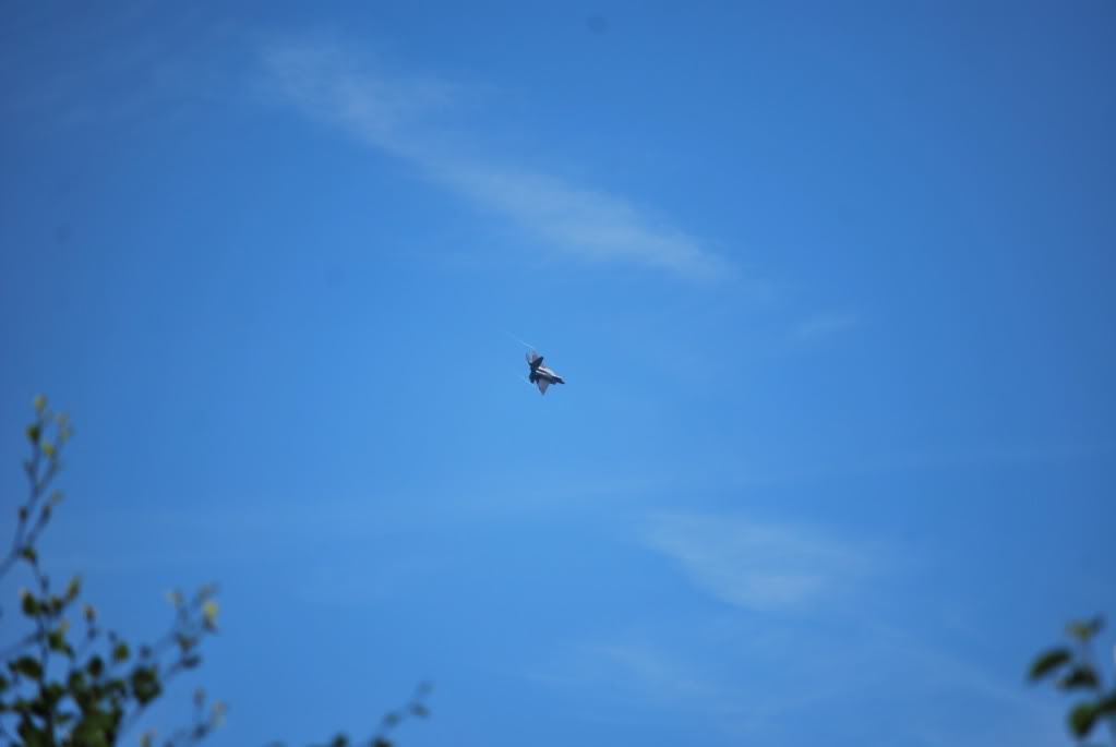 DSC_0486.jpg DSC_0486.jpg