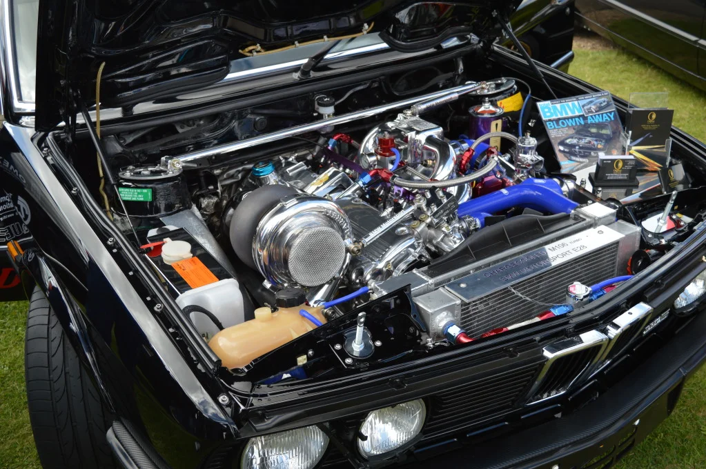 DSC_0488.webp