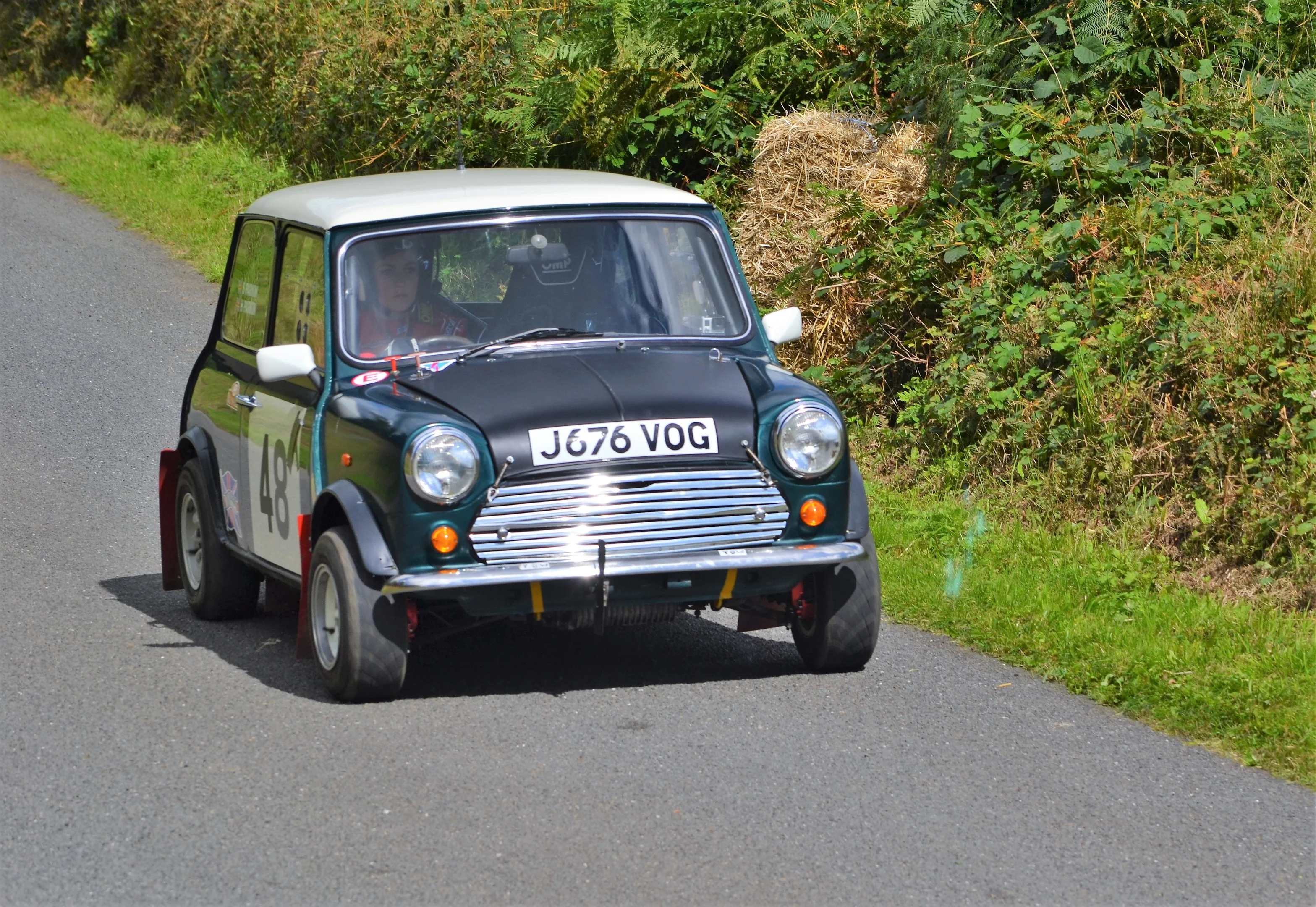 DSC_0493 (2).webp