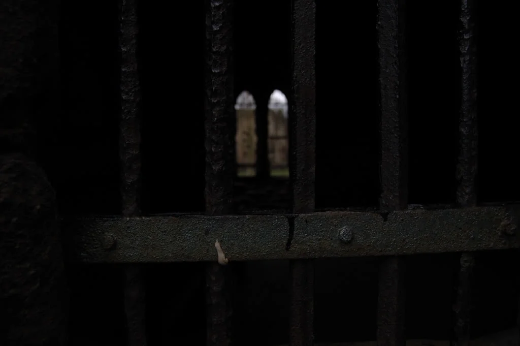 DSC_0496_100.webp