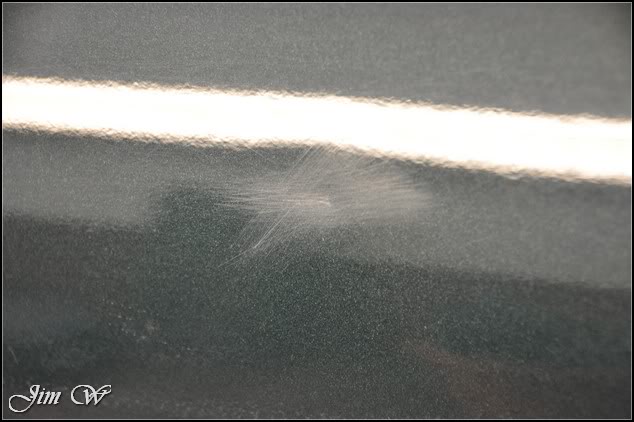 DSC_0497.jpg DSC_0497.jpg