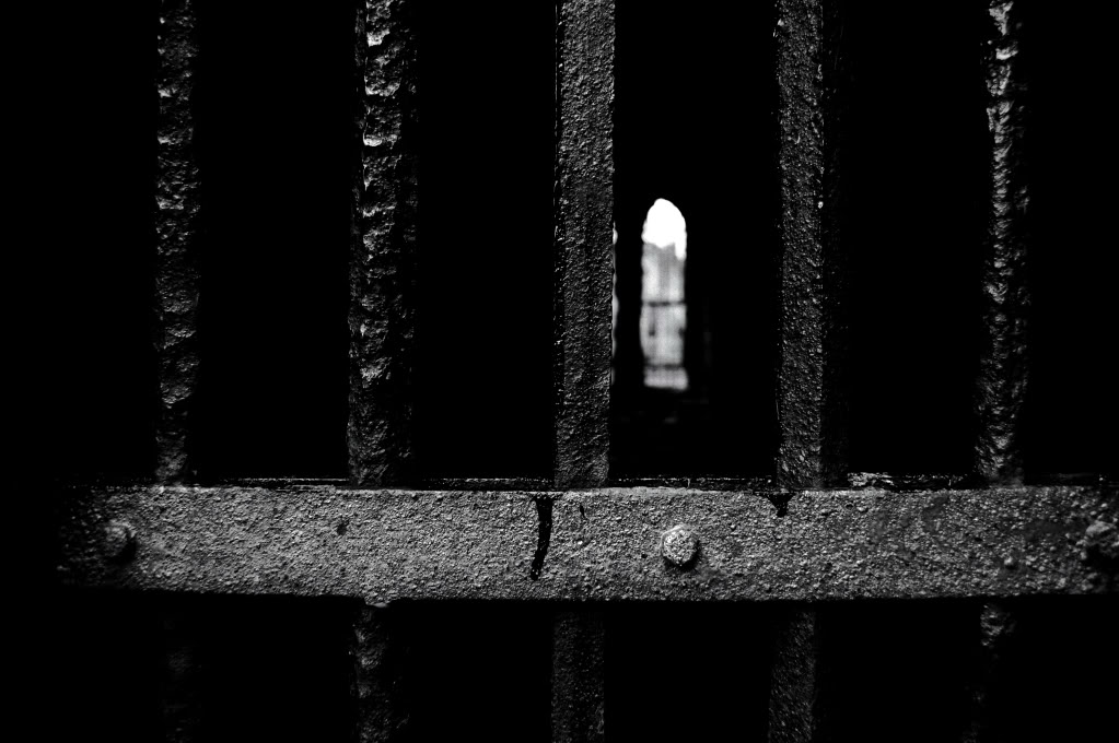 DSC_0498_101copy.jpg DSC_0498_101copy.jpg