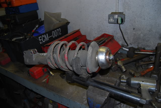 DSC_0500.jpg DSC_0500.jpg