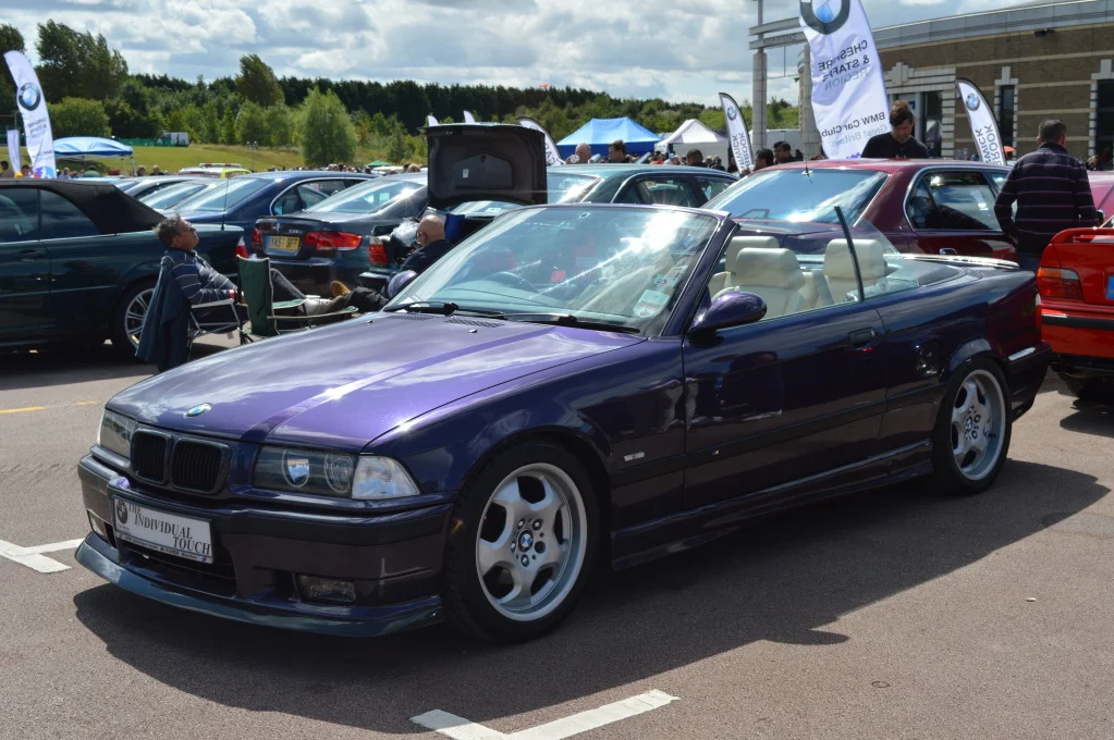 DSC_0503.webp