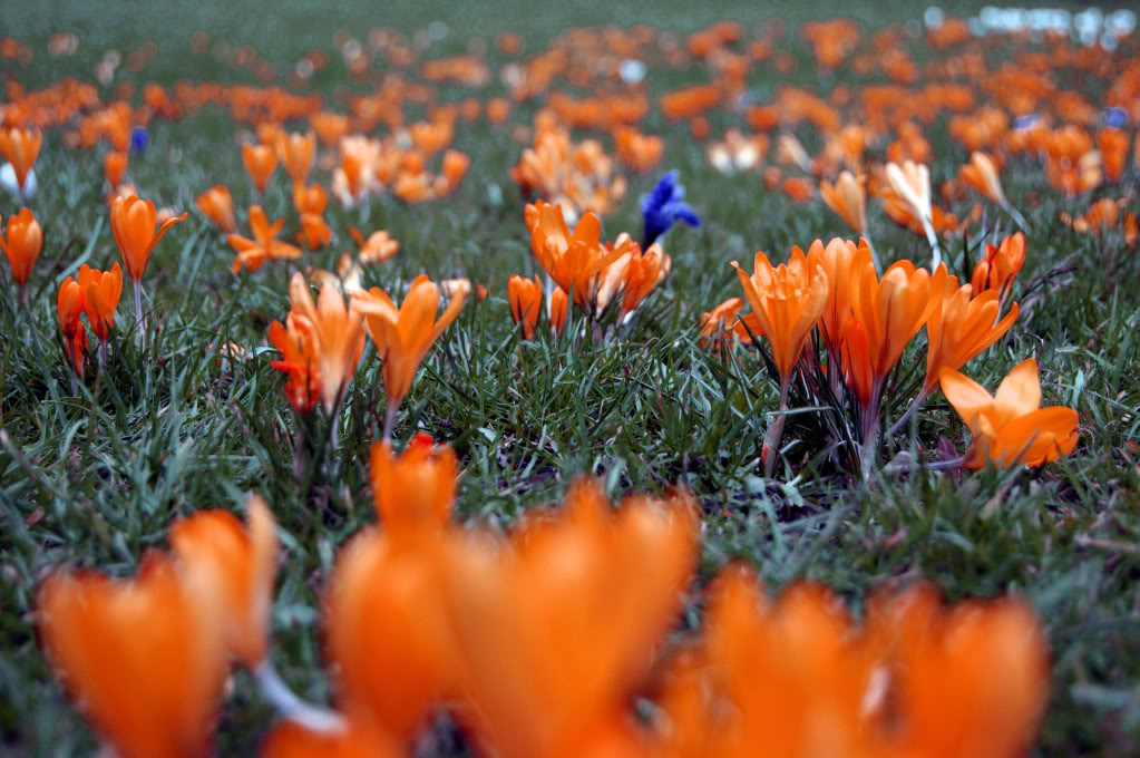 DSC_0503_104-1.jpg DSC_0503_104-1.jpg