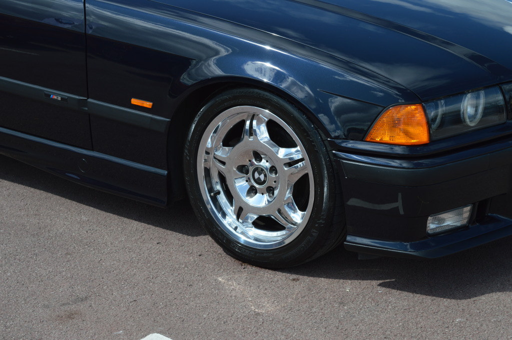 DSC_0504.jpg