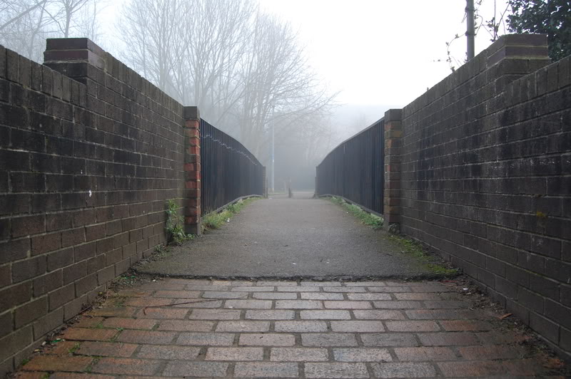 DSC_0509.jpg