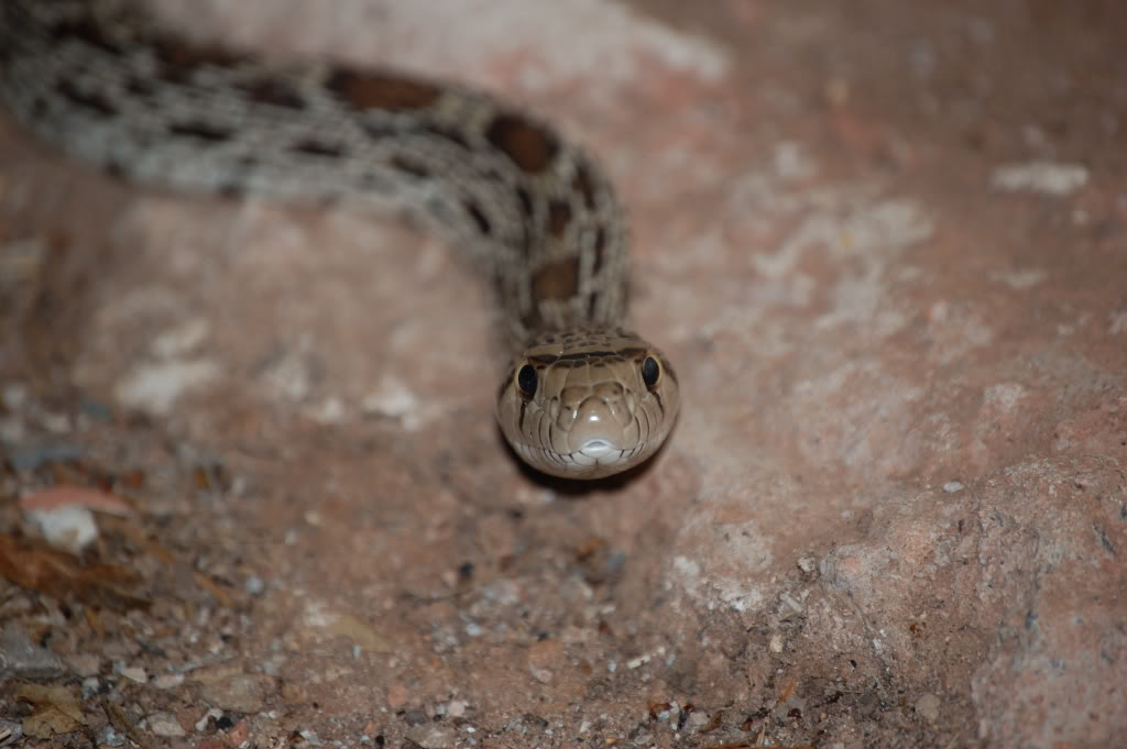 DSC_05140497.jpg DSC_05140497.jpg