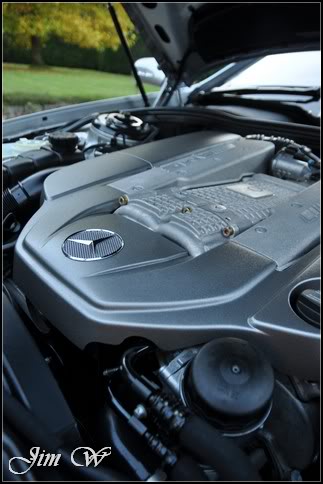 DSC_0524.jpg DSC_0524.jpg