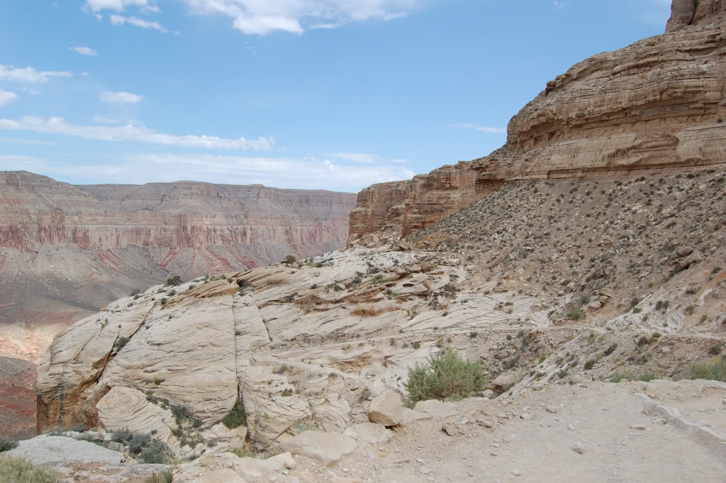 DSC_05250508.jpg DSC_05250508.jpg