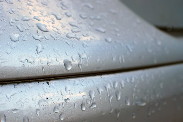 DSC_0530_detail.jpg DSC_0530_detail.jpg