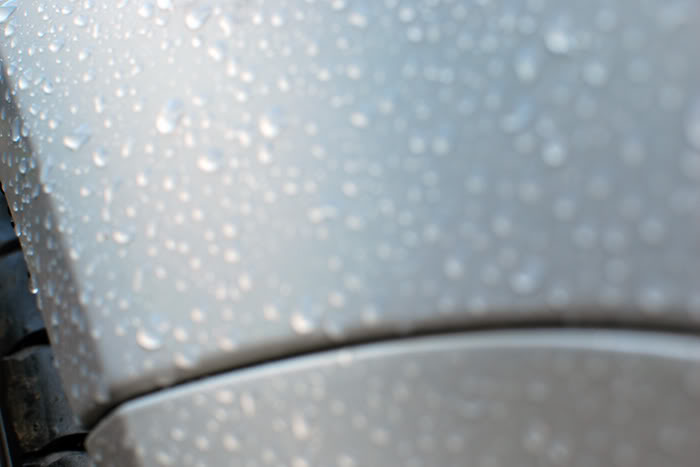 DSC_0533_detail.jpg DSC_0533_detail.jpg