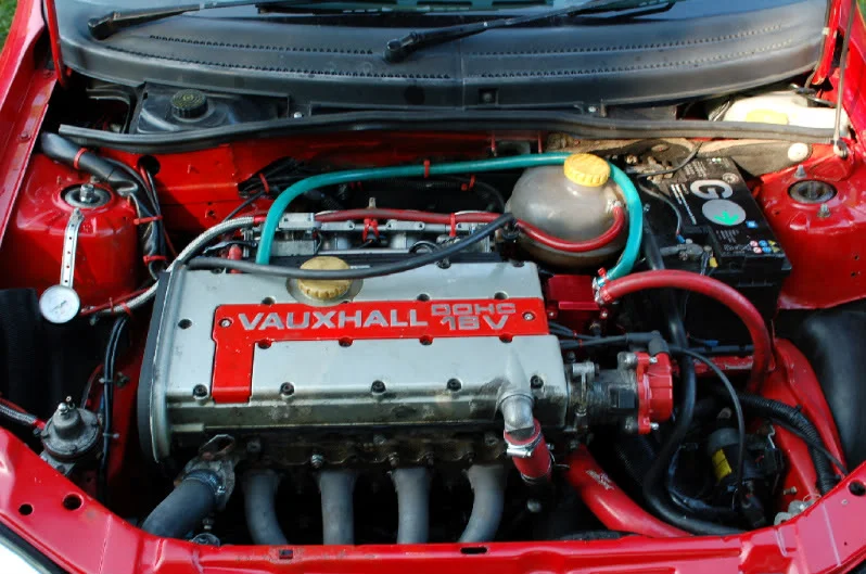 DSC_0537.webp