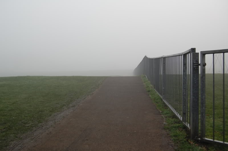 DSC_0538.jpg
