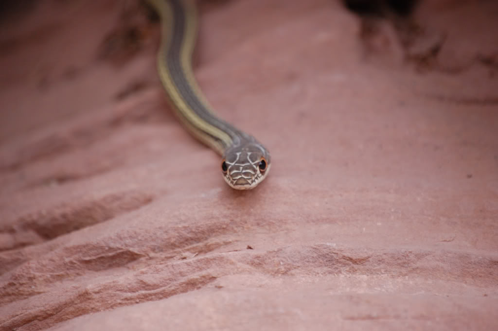 DSC_05420525.jpg DSC_05420525.jpg