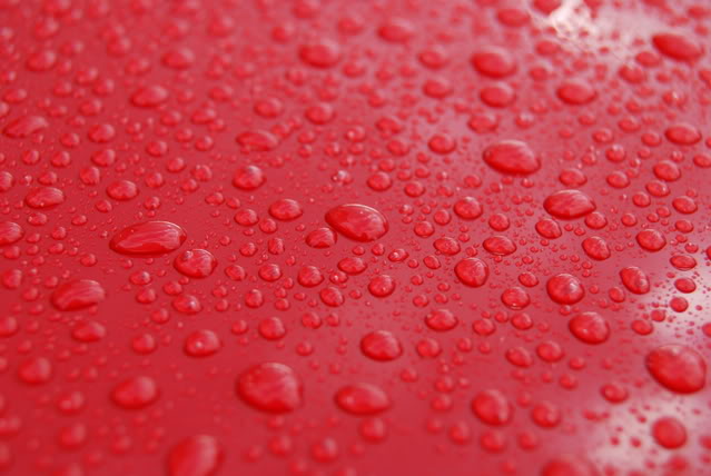 DSC_0544.jpg DSC_0544.jpg