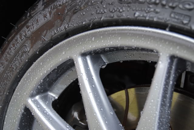 DSC_0548.jpg DSC_0548.jpg