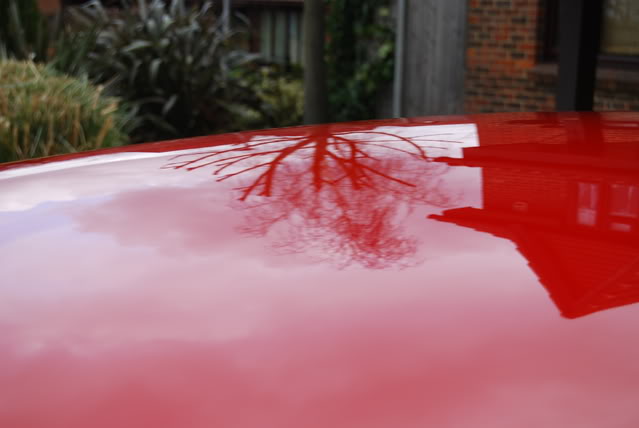 DSC_0556.jpg DSC_0556.jpg