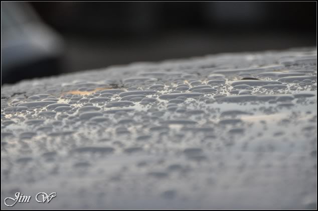 DSC_0560.jpg DSC_0560.jpg