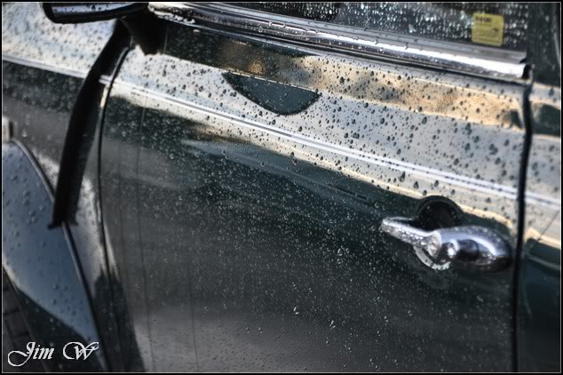 DSC_0561.jpg DSC_0561.jpg