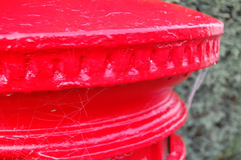 DSC_0562.jpg