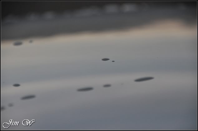 DSC_0562.jpg DSC_0562.jpg