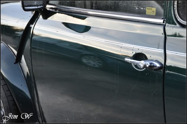 DSC_0564.jpg DSC_0564.jpg