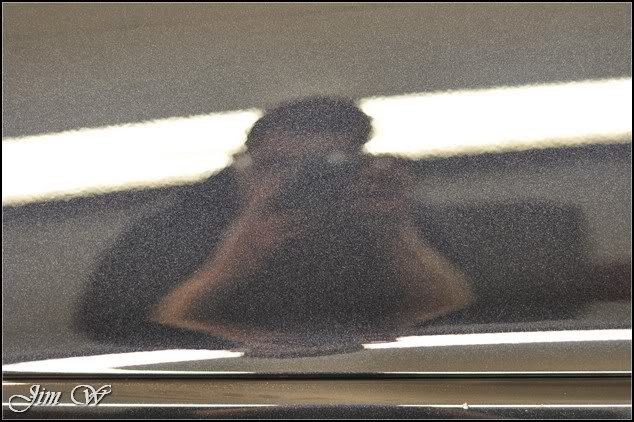 DSC_0565.jpg DSC_0565.jpg