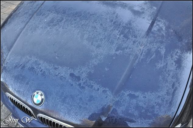 DSC_0574.jpg DSC_0574.jpg