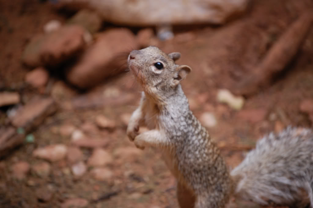 DSC_05920575.jpg DSC_05920575.jpg