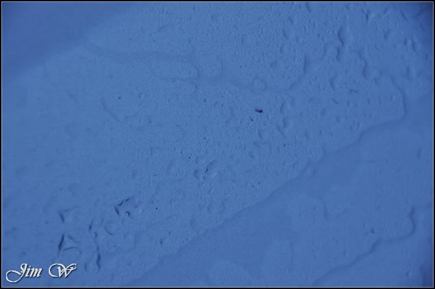 DSC_0601.jpg DSC_0601.jpg