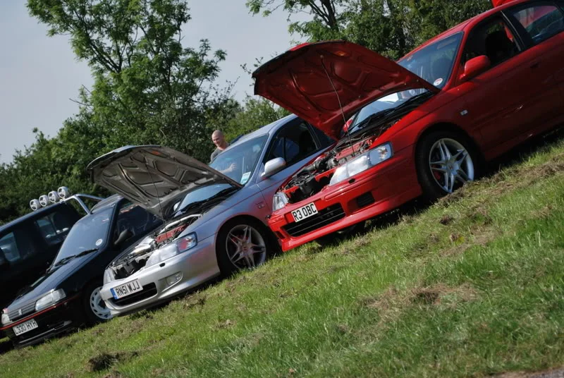 DSC_0622-1.webp